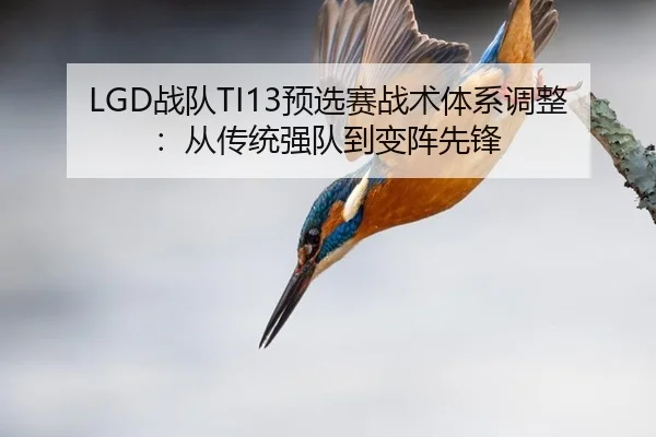 zhan-dui-yu-xuan-sai-zhan-shu-ti-xi-tiao-zheng-cong-chuan-tong-qiang-dui-dao-bian-zhen-xian-feng-2-518.jpg