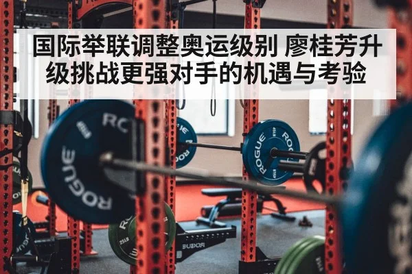 weightlifting barbell gym